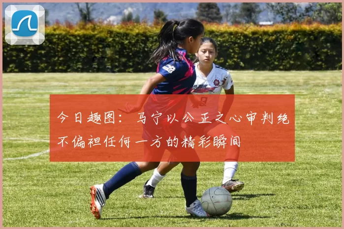 今日趣图：马宁以公正之心审判绝不偏袒任何一方的精彩瞬间