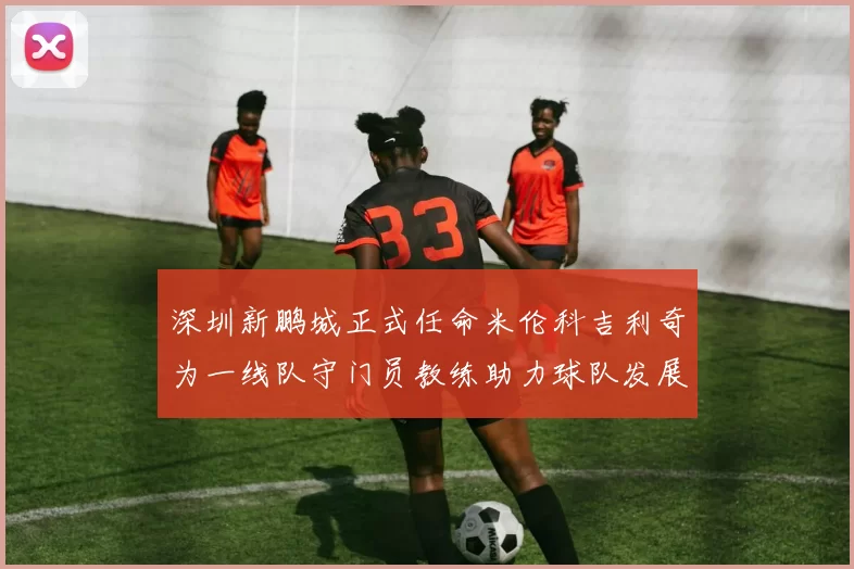 深圳新鹏城正式任命米伦科吉利奇为一线队守门员教练助力球队发展
